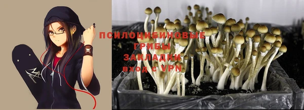 spice Абдулино