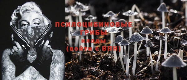 PSILOCYBIN Алексин