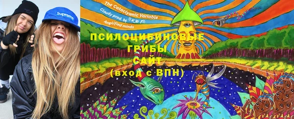 PSILOCYBIN Алексин