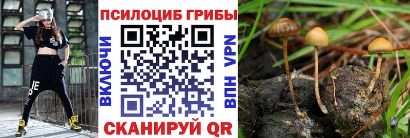 Псилоцибиновые грибы ЛСД  магазин    Щёлкино 